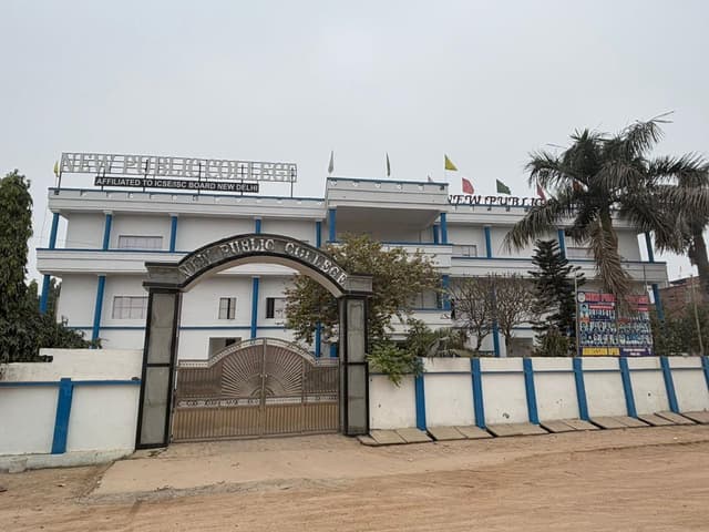 New Public College  Gallery