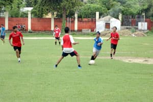 St. Francis' College Gallery