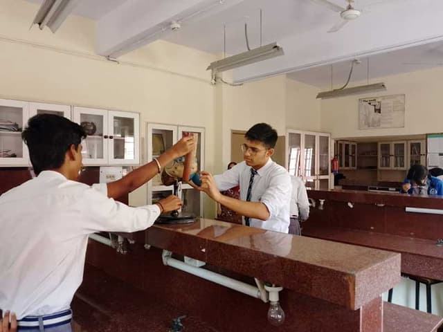 The Frank Anthony Public School Gallery