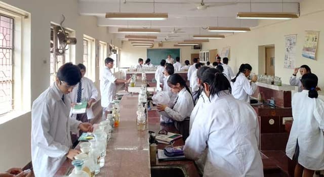 The Frank Anthony Public School Gallery