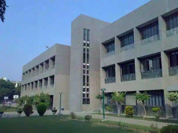 View All