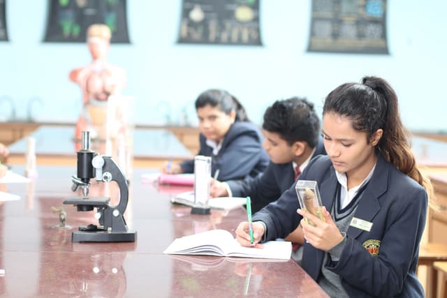 Amity International School Gallery