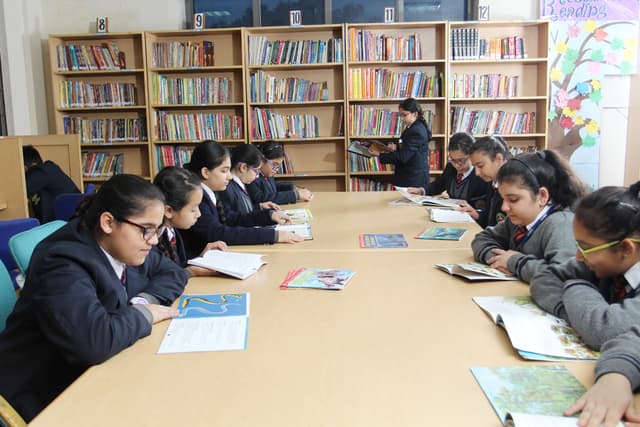 Amity International School Gallery