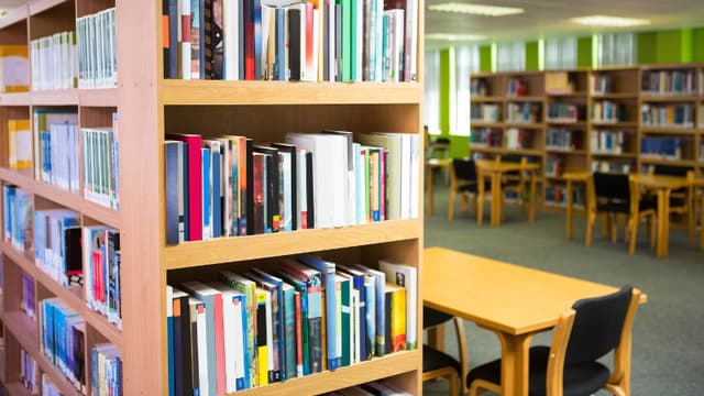 Lions Public School Gallery