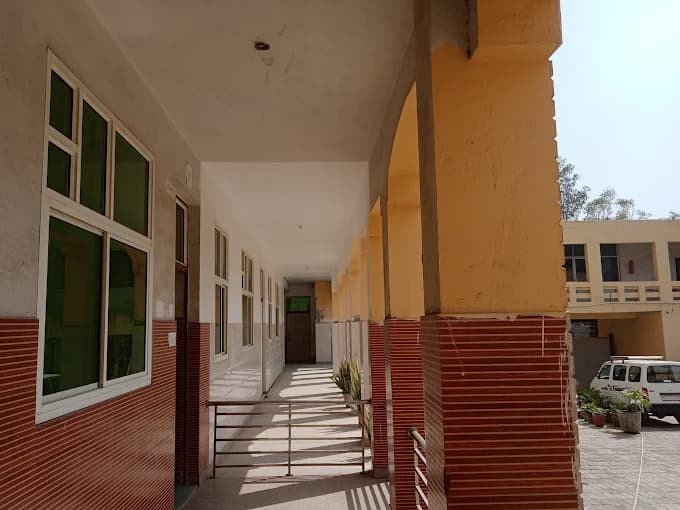 View All