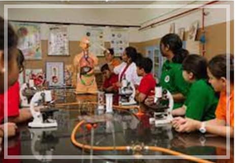 BRS Global School Gallery