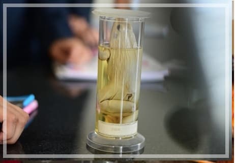 BRS Global School Gallery