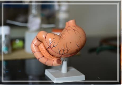 BRS Global School Gallery