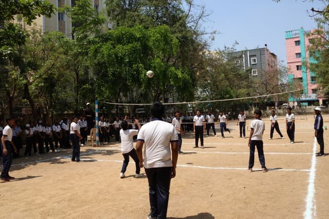 Voxpop International School Gallery