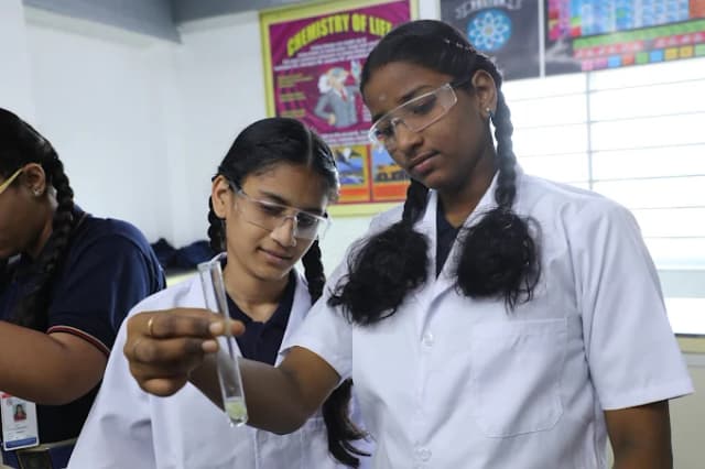 Solitaire Global School Gallery