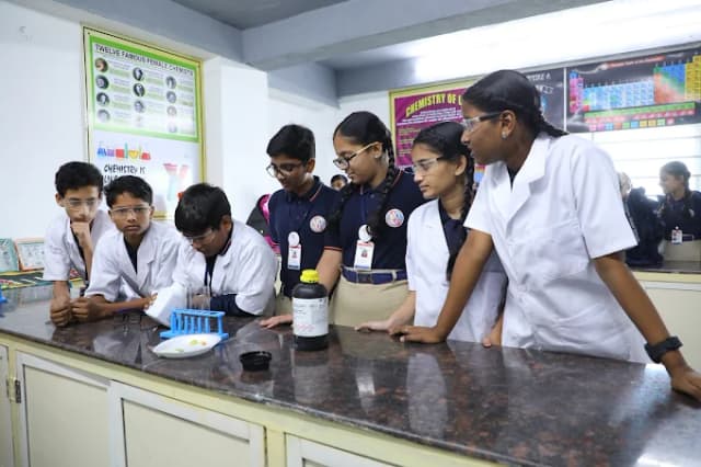 Solitaire Global School Gallery