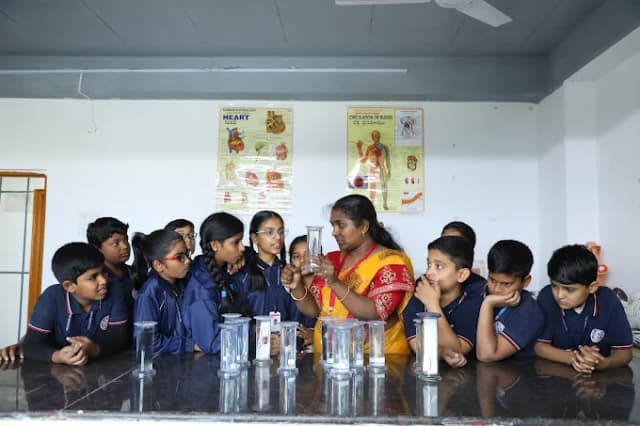 Solitaire Global School Gallery