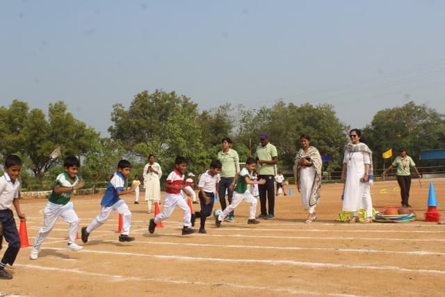 Pallavi International School Gallery