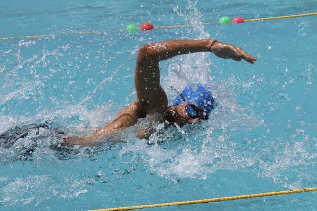 Pallavi International School Gallery