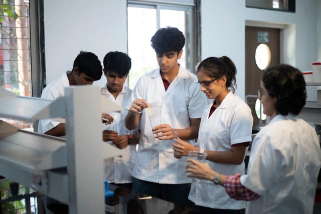 Corvuss American Academy Gallery