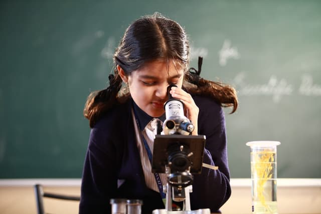 Zenas School Gallery