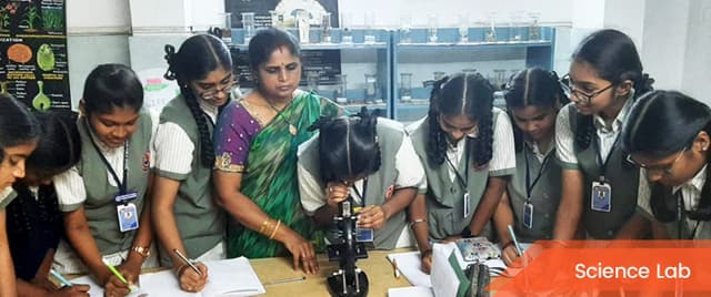 Hindu Public School Gallery