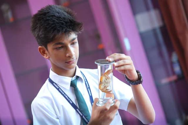 Delhi Public School Gallery