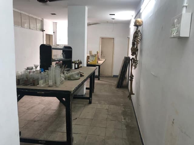 The Nobel School Gallery