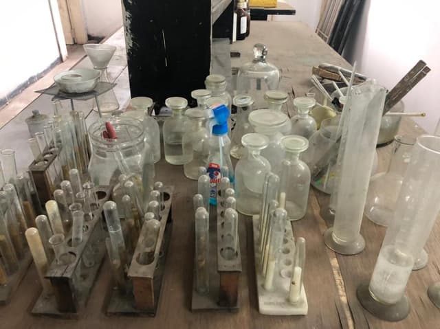 The Nobel School Gallery