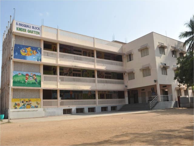 St. Pious X School Gallery
