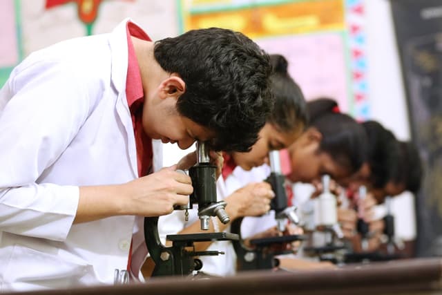 Crescent Public School Gallery