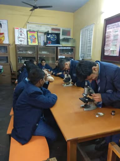 Little Flowers Public School Gallery