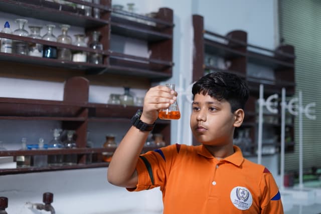 The Samarth School - Wazirabad Road Gallery