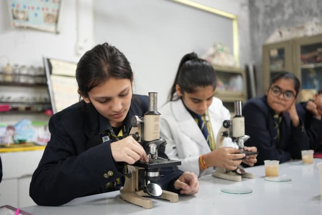 The Samarth School - Wazirabad Road Gallery