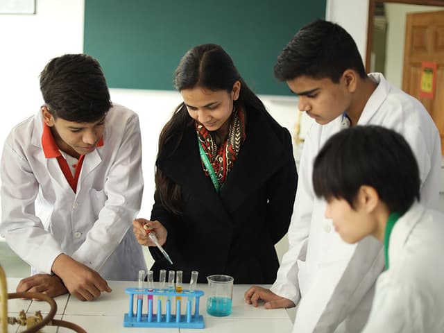 Delhi International School Gallery