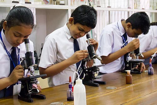 Plato Public School Gallery