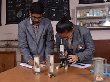 S D Public School Gallery