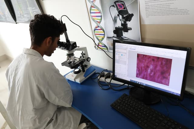 Capstone High Gallery