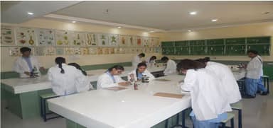 Mayur Public School Gallery