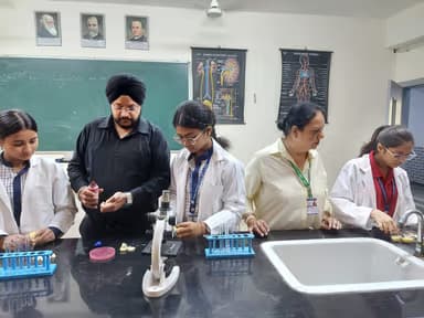 Guru Tegh Bahadur Public School Gallery