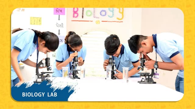 Crystal Schools Gallery