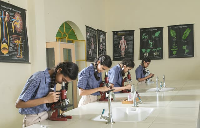 Silver Oak School Gallery