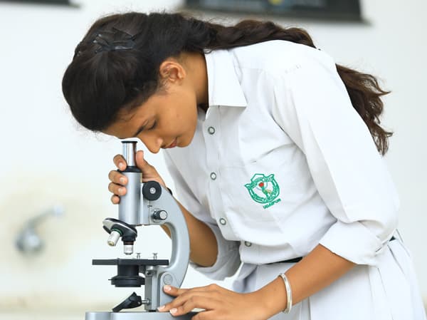 Delhi Public School Gallery