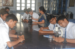 St. Pauls School Gallery