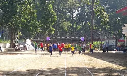 The Cambridge Sr. Sec. school Gallery