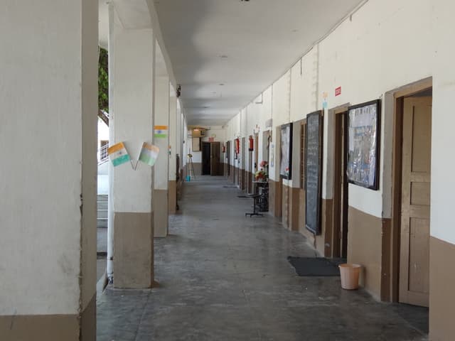 Summerfield School Gallery