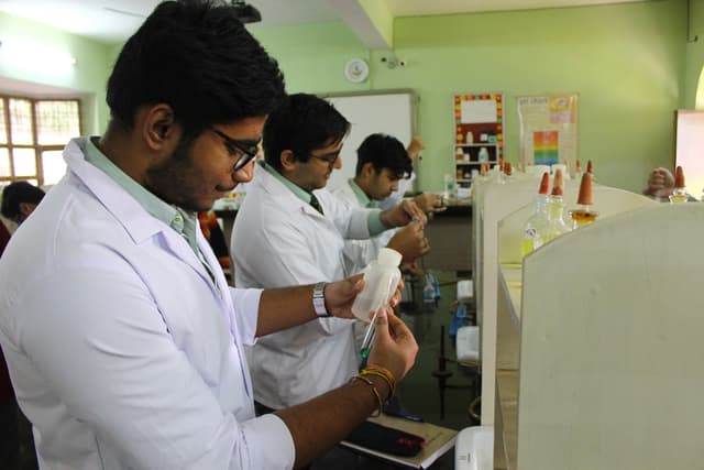 DLF Public School Gallery