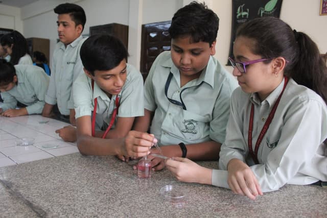 DLF Public School Gallery