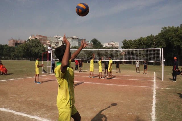 The SD Vidya School Gallery