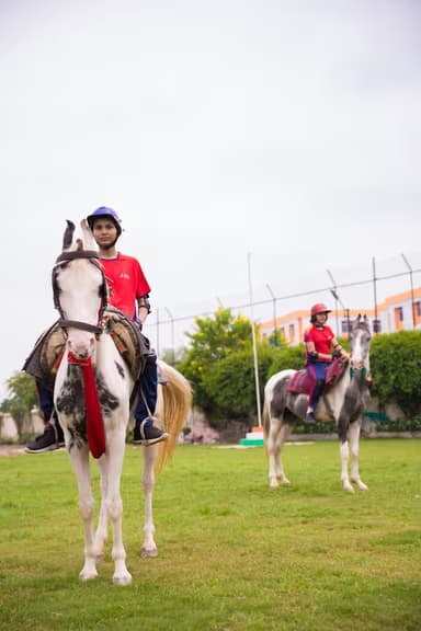 Seth M R Jaipuria School Gallery