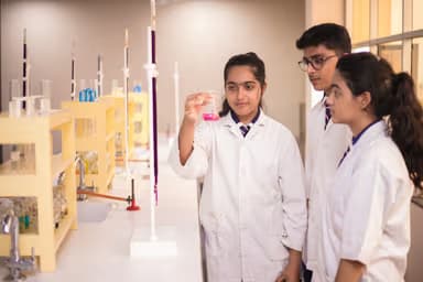 Seth M R Jaipuria School Gallery