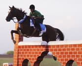 Kirpal Sagar Academy Gallery