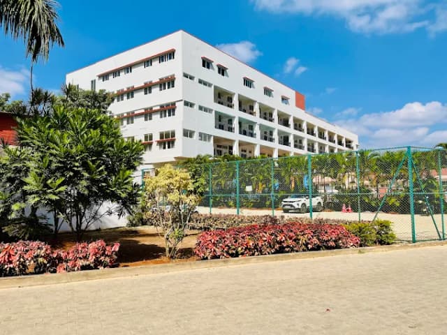 Treamis School Gallery