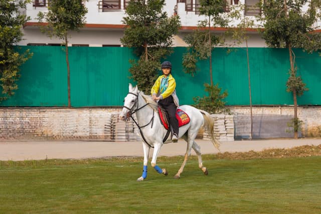 The TonsBridge School Gallery