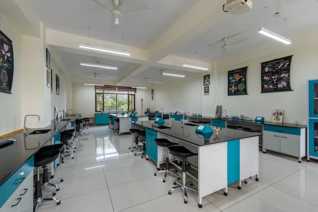 The TonsBridge School Gallery